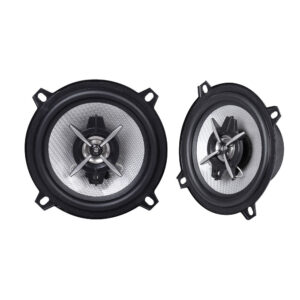 Conjunto de Colunas - 100 W Automóvel DX 810