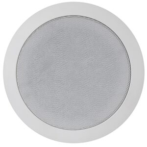 Coluna Tecto 100V 5" 12W