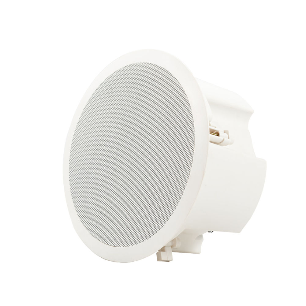 Coluna Tecto 100V 6,5" 40W