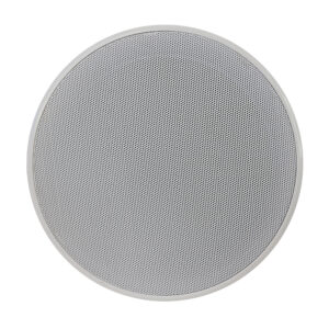 Coluna Tecto 100V 6,5" 20W