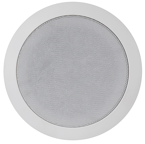 Coluna Tecto 100V 8" 20W