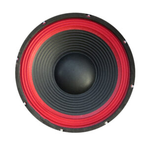 Woofer 10" 200W 8ohm (25cm)