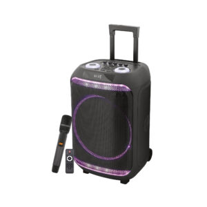 Coluna Portátil 14" 100W + 1 Micro + Comando